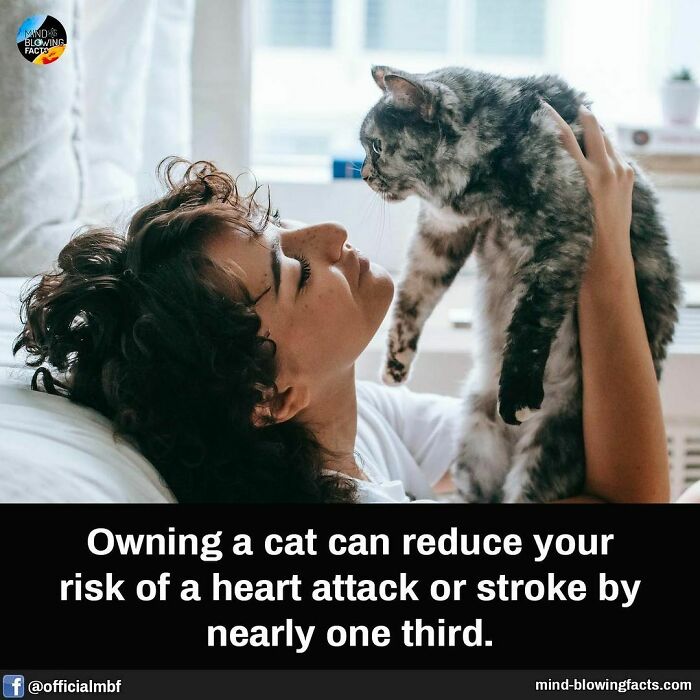 Woman holding a cat closely, promoting a fascinating fact about health benefits of cat ownership reducing heart attack risk.