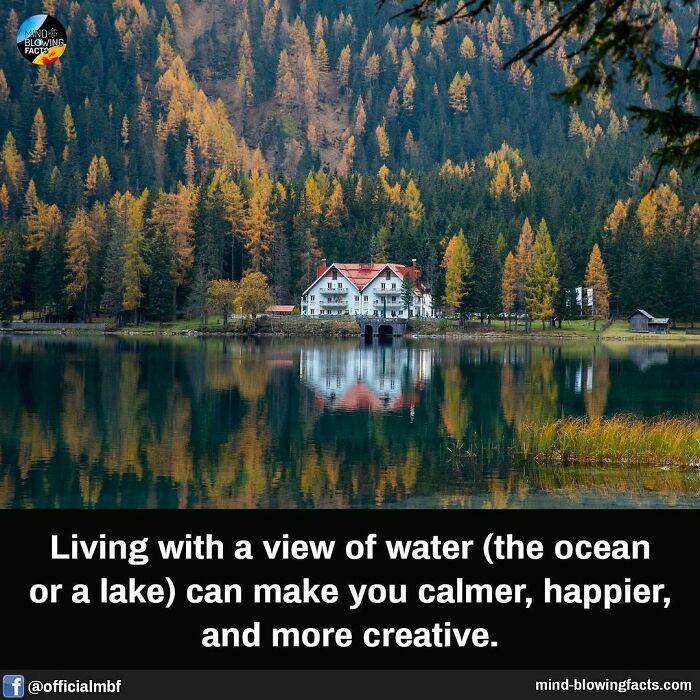 House by a lake surrounded by autumn trees, reflecting in water.