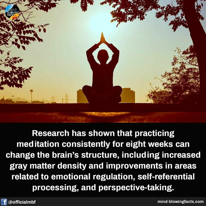 Silhouette of a person meditating at sunrise, illustrating fascinating facts about meditation benefits for the brain.