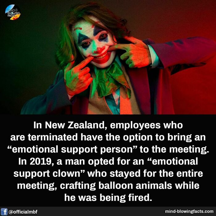 Clown dressed as Joker, highlighted with a fact about emotional support during termination meetings in New Zealand.