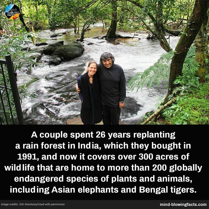 Couple by a river in a lush Indian rainforest they replanted over 26 years, now home to diverse wildlife.