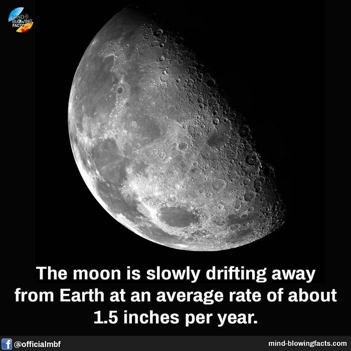 The moon drifting from Earth, 1.5 inches annually.