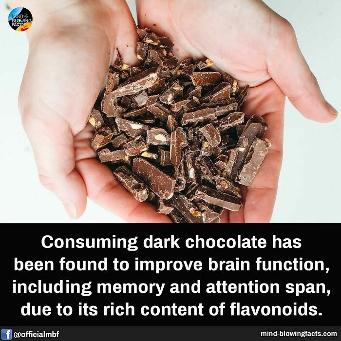 Hands holding pieces of dark chocolate with a fact about brain benefits, shared on an amazing facts Instagram page.