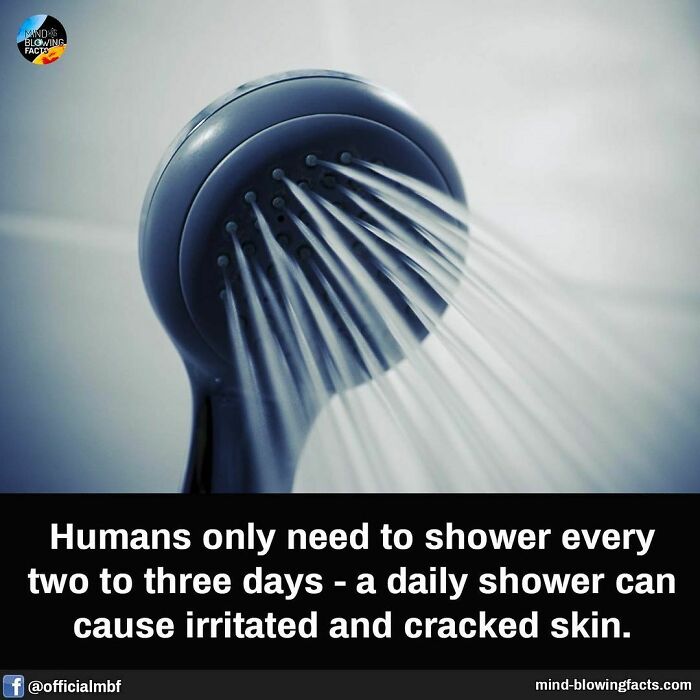 Close-up of a showerhead spraying water, illustrating amazing facts about shower frequency and skin care.