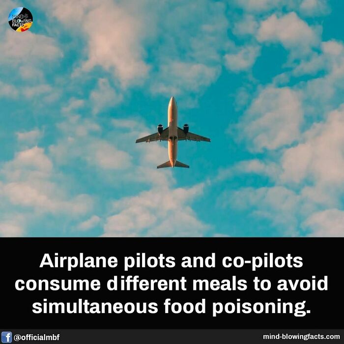 Airplane flying against a cloudy sky with an amazing fact about pilots avoiding simultaneous food poisoning.