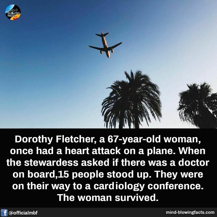 Airplane flying above palm trees with text about an amazing fact shared on an Instagram page.