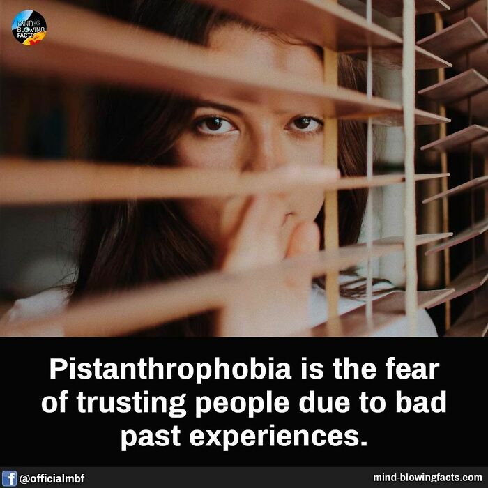 Close-up of a person’s eyes peeking through blinds illustrating amazing facts about fear and trust on Instagram.