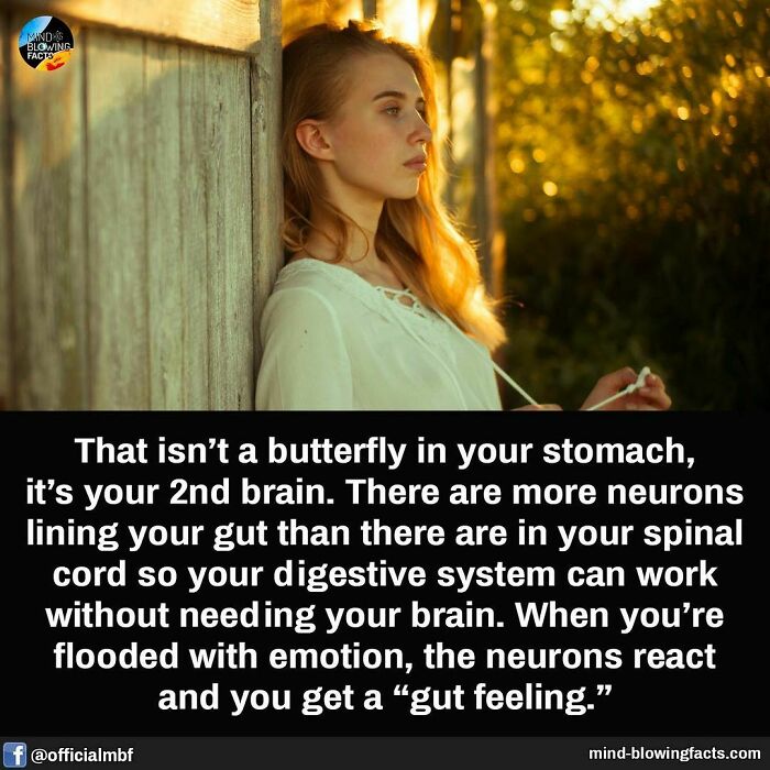 Young woman leaning against rustic wooden wall at sunset, illustrating amazing facts about the gut brain and digestive system neurons.