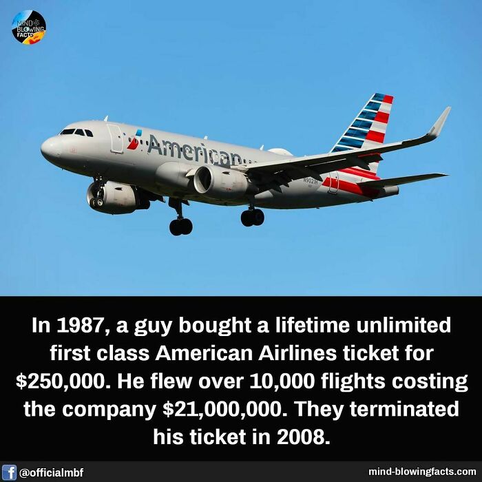 American Airlines plane in flight with a fascinating fact about a lifetime unlimited ticket from an Instagram page sharing amazing facts.
