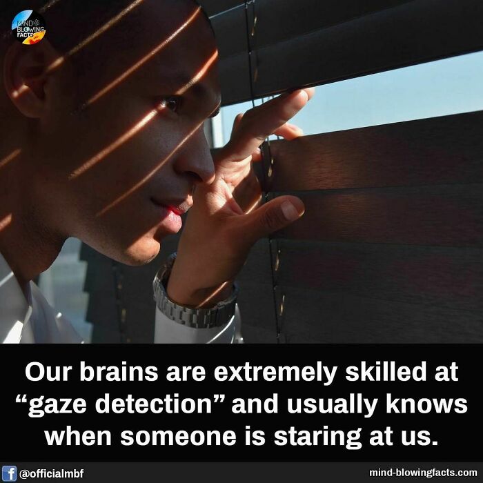 Man peeks through blinds with light streaks on face, illustrating amazing facts about gaze detection on Instagram page.