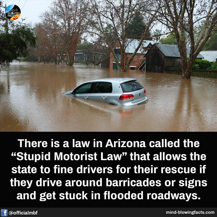 Flooded road with a partially submerged car illustrating an amazing fact from an Instagram page sharing surprising facts.
