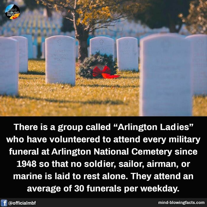 Rows of white military grave markers at Arlington National Cemetery with a wreath placed on one marker, illustrating amazing facts.