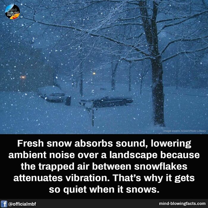 Snowy winter night scene illustrating amazing facts about sound absorption and quietness during snowfall on Instagram.