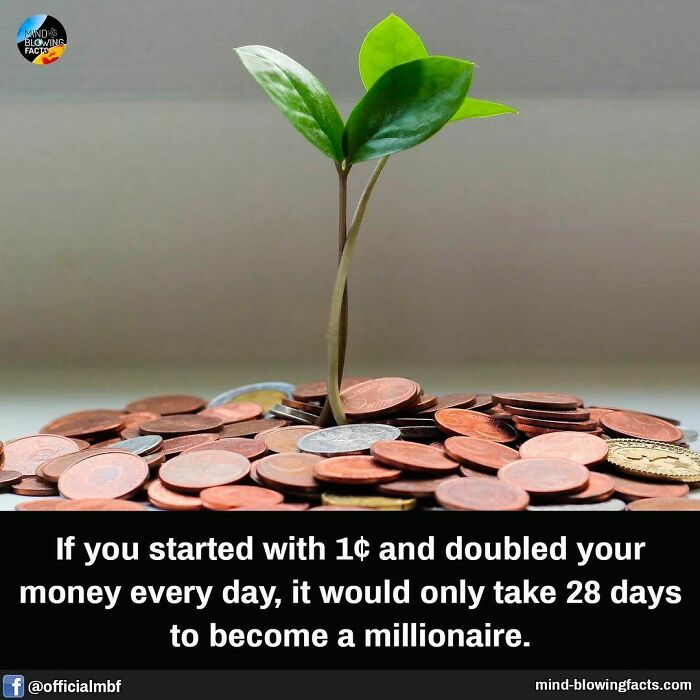 Young green plant growing from a pile of coins illustrating amazing facts about money growth on an Instagram page.
