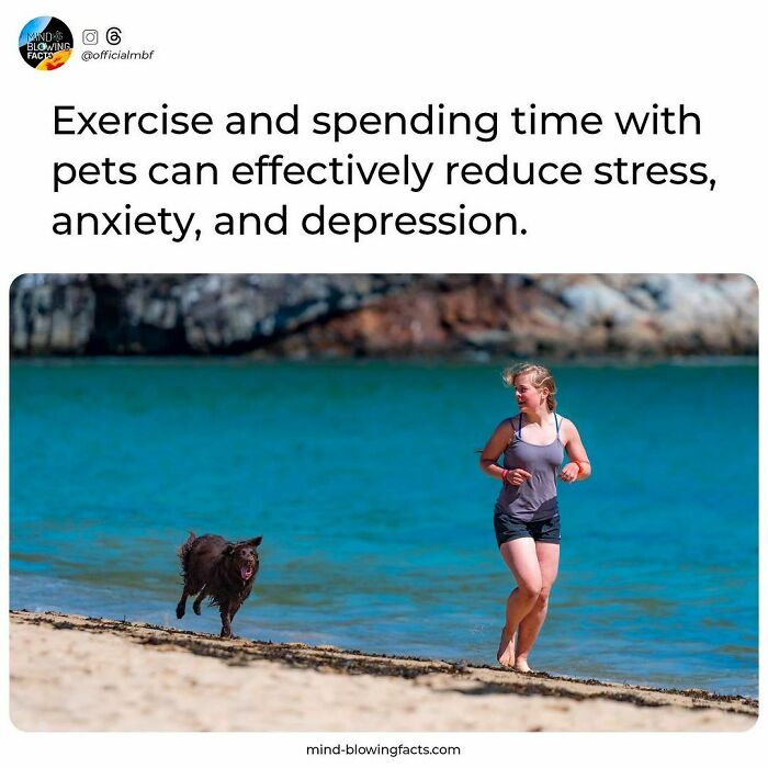 Woman jogging on the beach with her dog demonstrating amazing facts about exercise reducing stress and anxiety.