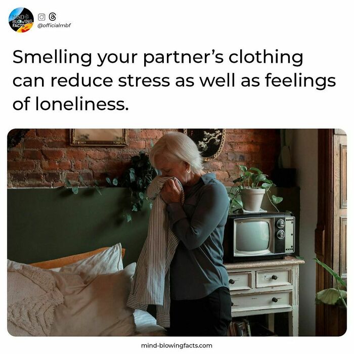 Woman smelling her partner’s clothing in a cozy room, illustrating amazing facts about stress and loneliness relief.