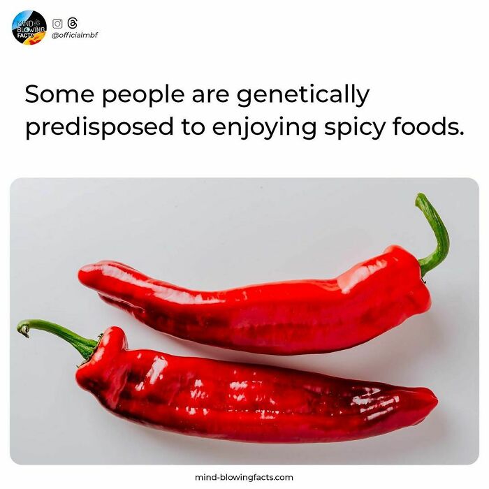Red chili peppers on a white surface illustrating amazing facts about genetic predisposition to spicy foods.