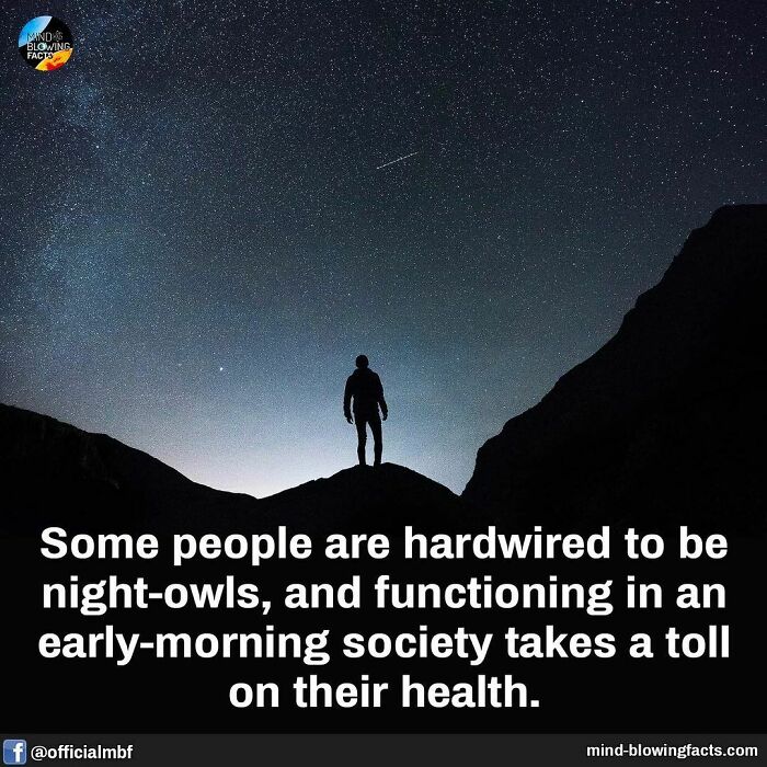 Silhouette of a person under a starry night sky illustrating amazing facts about night-owls and health effects.
