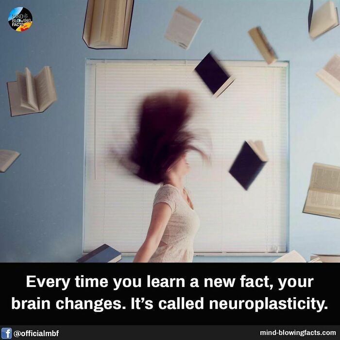 Woman with hair flying surrounded by floating books illustrating amazing facts and brain changes called neuroplasticity.