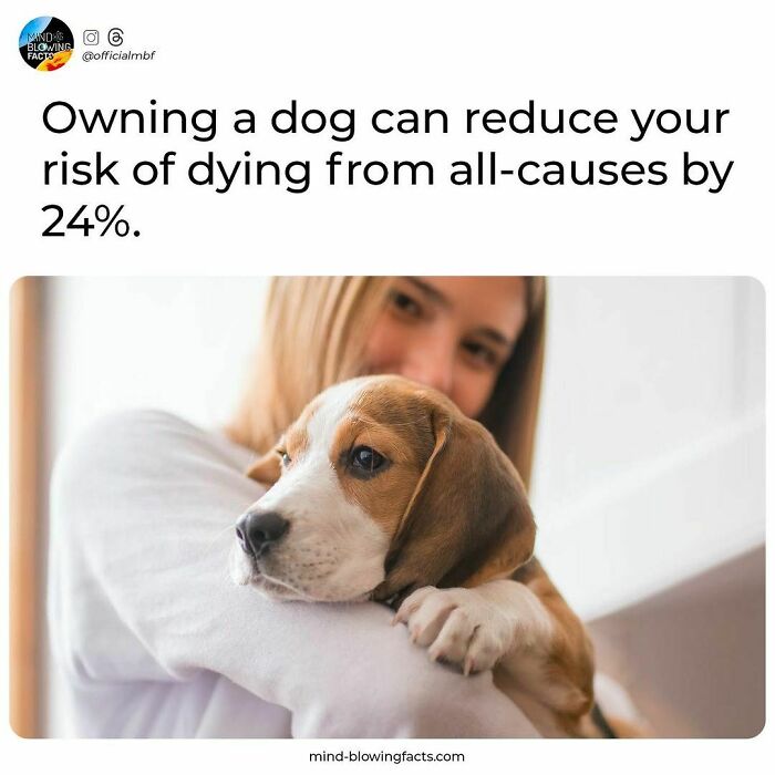Woman holding a puppy with text about owning a dog reducing risk of dying, from an Instagram page sharing amazing facts