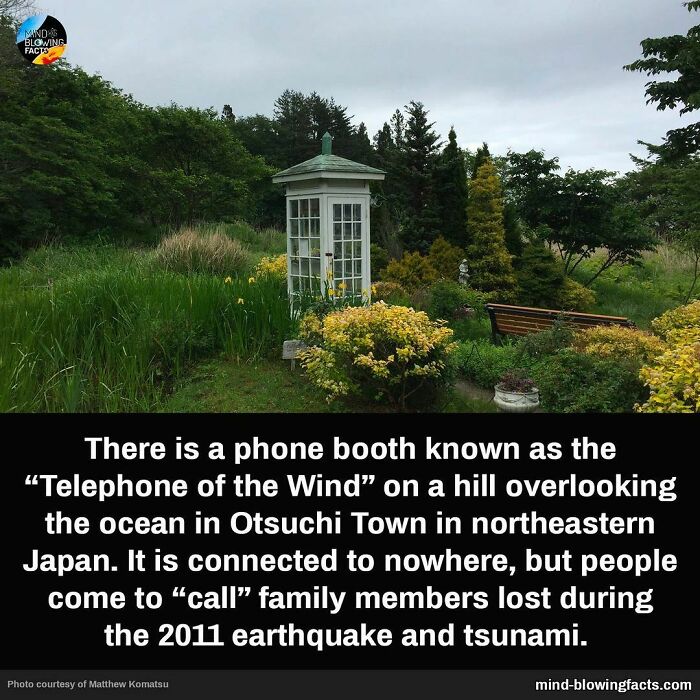 Phone booth called Telephone of the Wind in Japan for calling family lost in 2011 earthquake, featured in amazing facts on Instagram.
