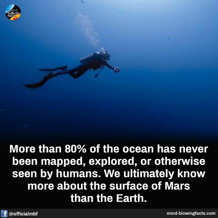 Scuba diver underwater illustrating amazing facts about ocean exploration from an Instagram page sharing amazing facts.