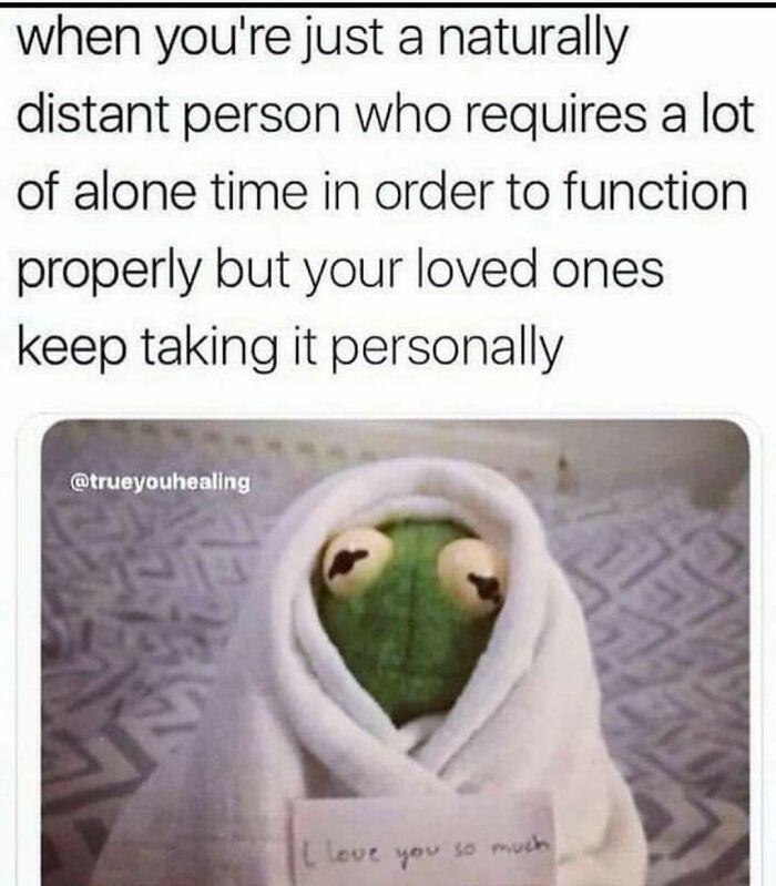 Kermit wrapped in a blanket with a note, capturing the feeling of needing alone time in a funny meme.