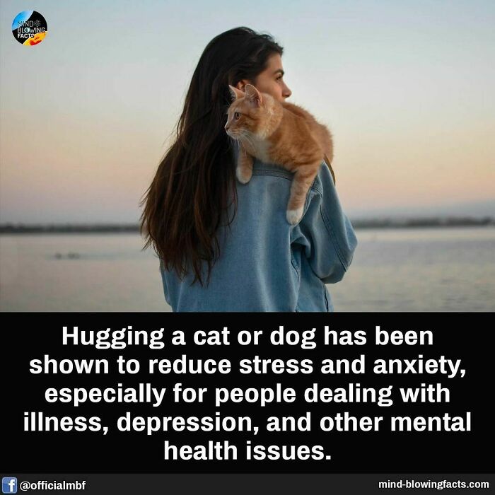Woman holding an orange cat on her shoulder near water, illustrating mind-blowing facts about stress reduction and mental health benefits.