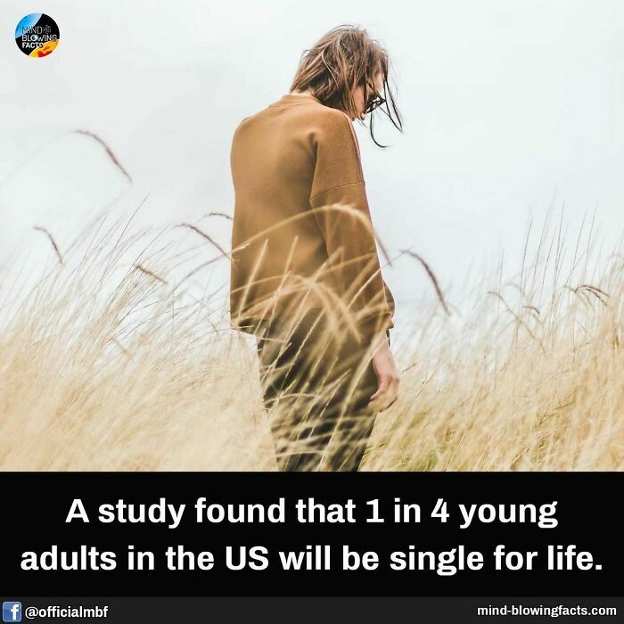 Young adult standing alone in a field, illustrating mind-blowing facts about being single for life in the US.