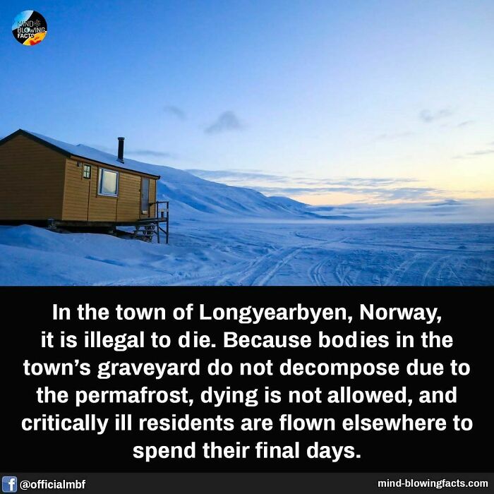 Remote cabin in snowy landscape illustrating mind blowing facts about Longyearbyen Norway's unique death laws.