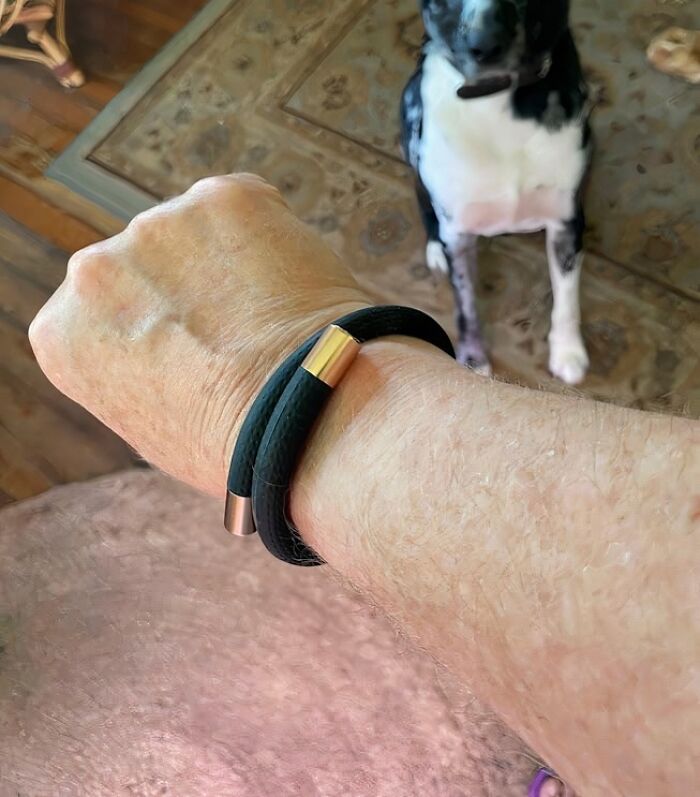 A wrist wearing a black leather bracelet with gold accents, with a dog in the background.