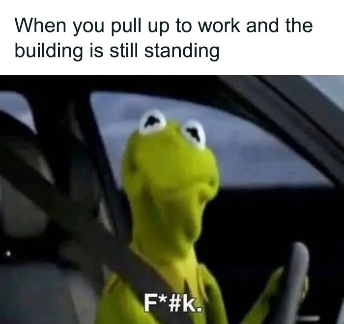 Kermit driving humorously unimpressed; a hilarious meme to brighten up your day.