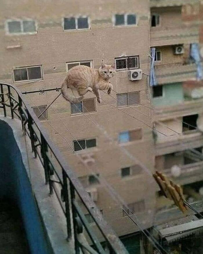 I Am Not In Danger. I'm The Danger