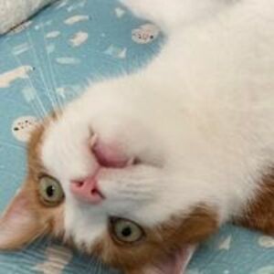 petra_jahnke_1 avatar