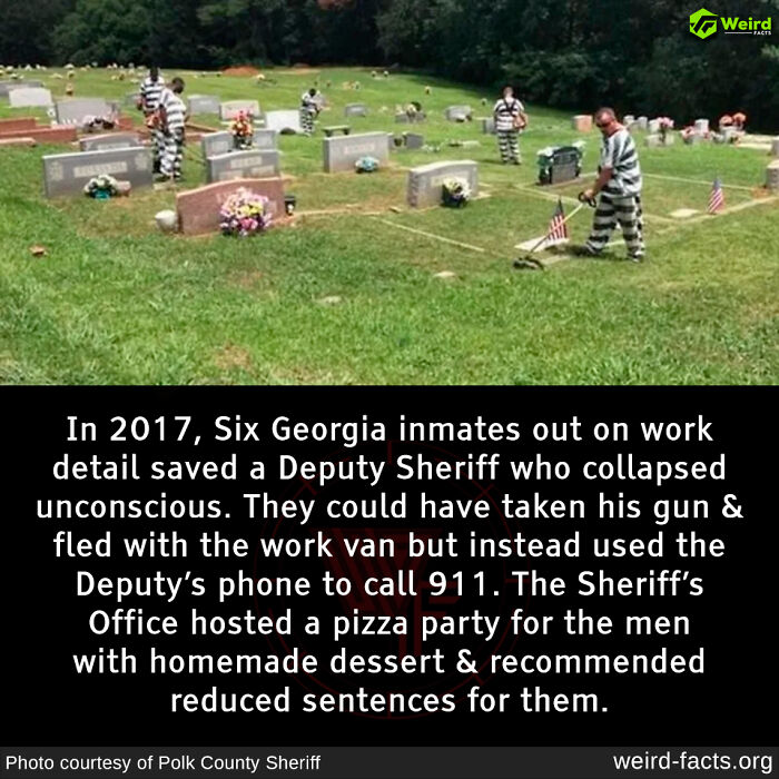 In 2017, Georgia inmates save a fallen deputy in a cemetery, an unexpected heroic act.