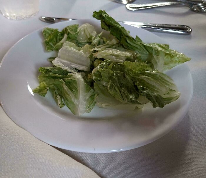 Plate of plain lettuce leaves, resembling a simplistic dish concept.