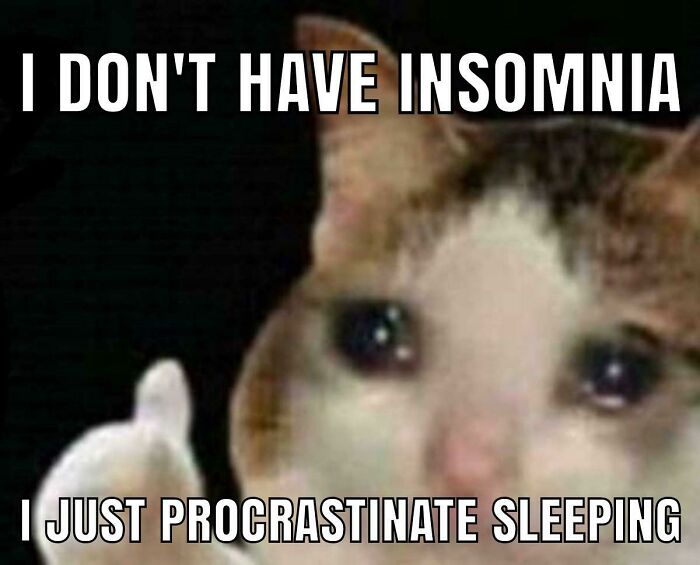 Cat meme about procrastination, featuring a cat giving a thumbs up with text about insomnia and procrastinating sleeping.