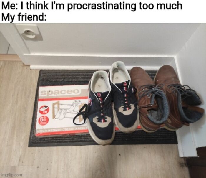 Procrastination-Memes