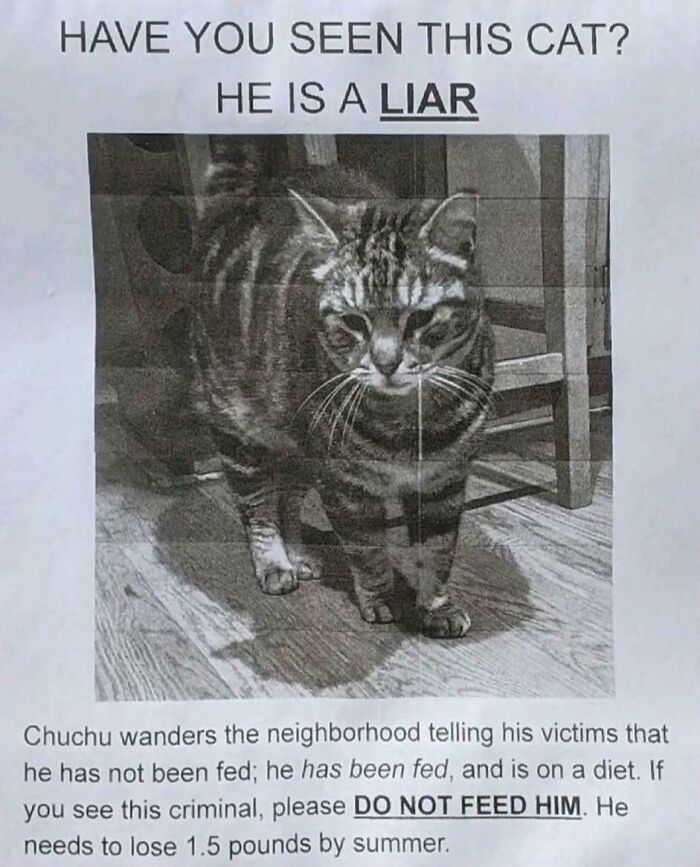 This Poster I Saw In My Neighborhood