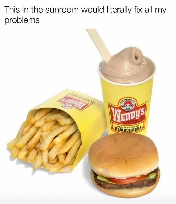 Wendy's classic burger, fries, and chocolate Frosty, nostalgic fast food meal for those who grew up with Tamagotchis and VHS tapes.