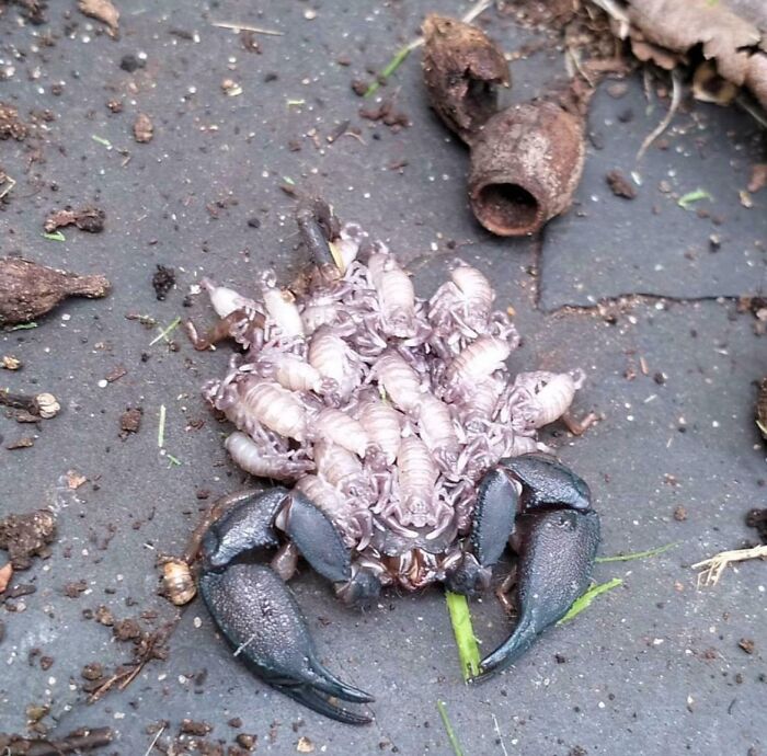 Estaba bajo las macetas de un amigo