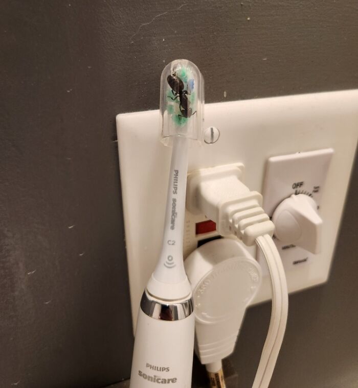 Anoche me iba a cepillar los dientes y...