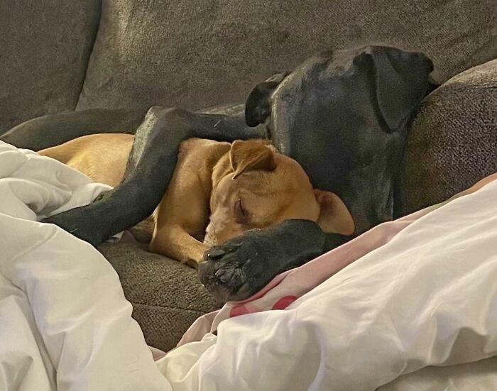 These Two Spoon All Day, Every Day