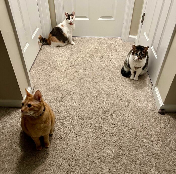 Every Time My Kid Takes A Shower