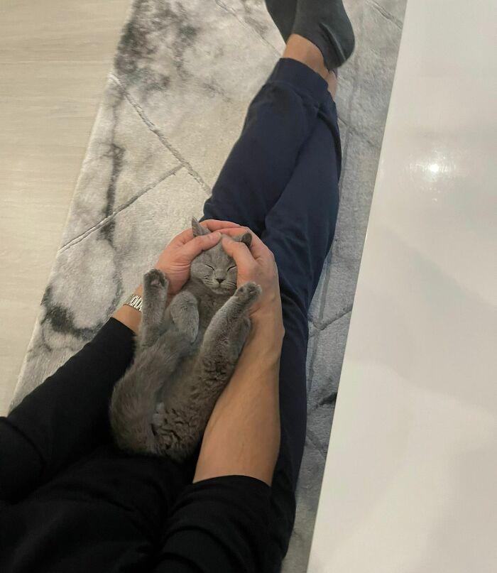 First Day Home And My Little Furball Already Trusts Me Enough To Doze Off In The Safety Of My Hands. Pure Bliss