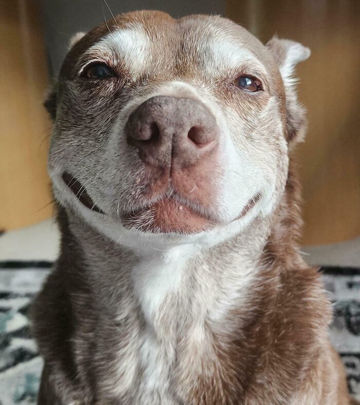 After Dad Tells Sydney How Pretty She Is For A 13-Year-Old