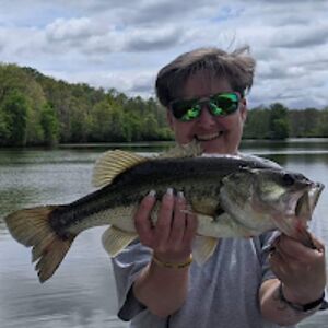 laurindawhitt avatar