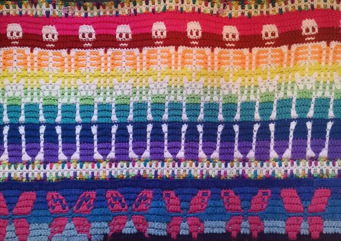 I Was Told You Guys Would Like This 🌈 💀 🦋