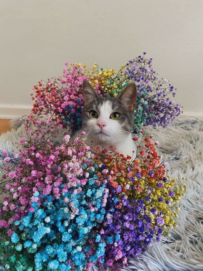 The Prettiest Flower In The Bunch 😘