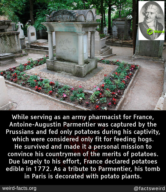 Tomb of Antoine-Augustin Parmentier in Paris adorned with potato plants, highlighting an interesting historical fact.